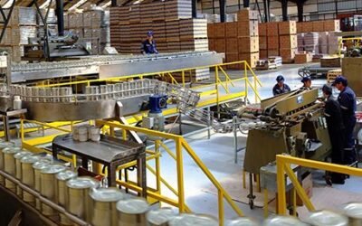 Índice de Inversión de Maquinaria y Equipos aumentó 10,6% completando 18 meses de crecimiento continuado