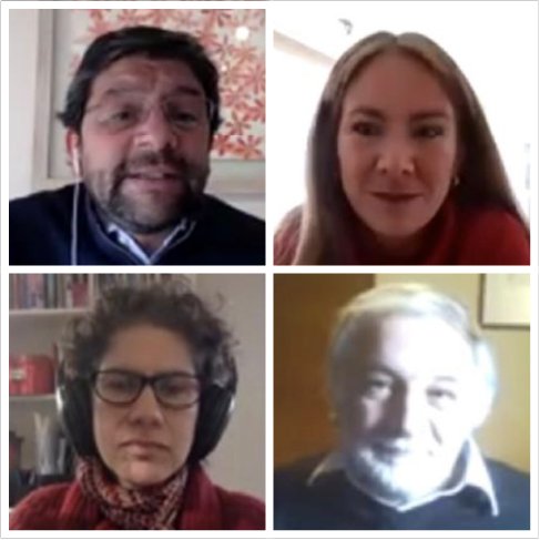 homeNueva vicepresidenta de SOFOFA participa en webinar sobre la “reactivación sostenible”