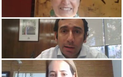 homeEmpresas socias de la ReIN conversaron con el subsecretario del Trabajo, Fernando Arab sobre inclusión laboral y teletrabajo en tiempos de pandemia