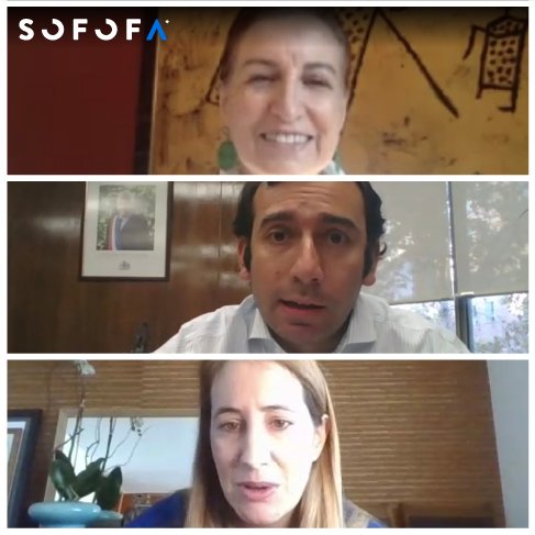 homeEmpresas socias de la ReIN conversaron con el subsecretario del Trabajo, Fernando Arab sobre inclusión laboral y teletrabajo en tiempos de pandemia