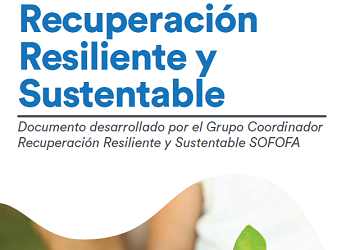 homeDescarga el Documento Recuperación Resiliente y Sustentable