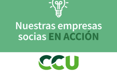 carruselhomeVIDEO ▶: Te presentamos la #Recicancha de CCU