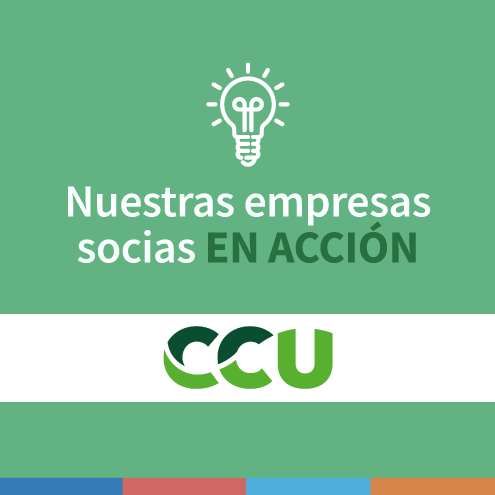 carruselhomeVIDEO ▶: Te presentamos la #Recicancha de CCU