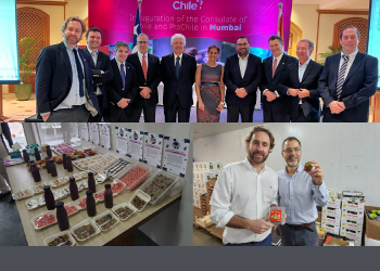 homeSOFOFA y ProChile se reúnen con autoridades de comercio y sanitarias de la India