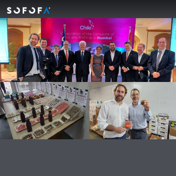 homeSOFOFA y ProChile se reúnen con autoridades de comercio y sanitarias de la India