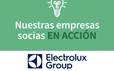 carruselhomeVIDEO ▶: Conoce a Paula Tavares, primera mujer directora de Manufactura de Electrolux Chile