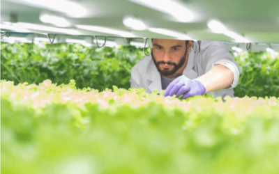 homeEncuentro Anual de la Industria 2024: SOFOFA plantea una Hoja de Ruta para Chile al 2030